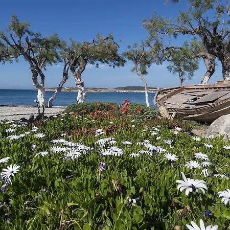Hotel Kalypso Naousa (Paros)