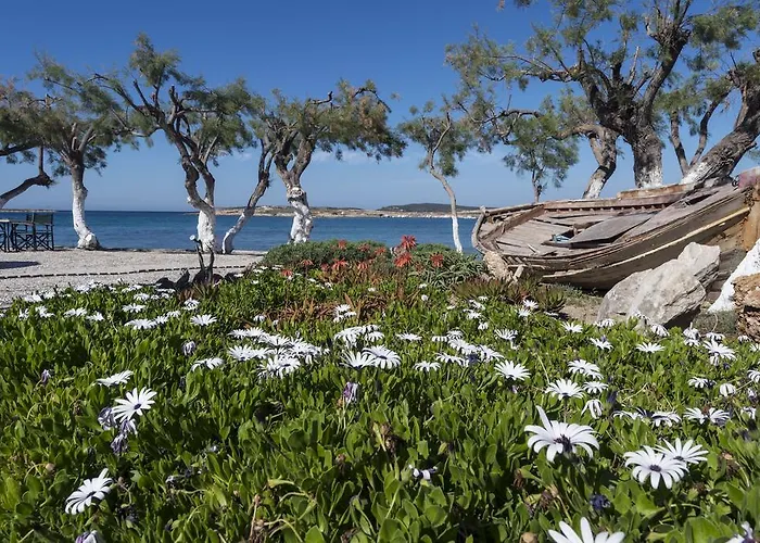 Hotel Kalypso Naousa (Paros)